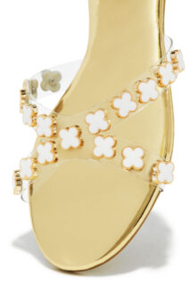 amara-gold-Socials2023334628_large@2x